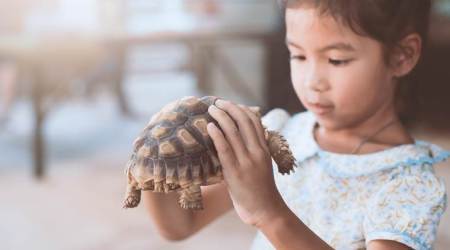 World Wildlife Day, museums, museums of India, wildlife museums of India, parenting, indian express, indian express news