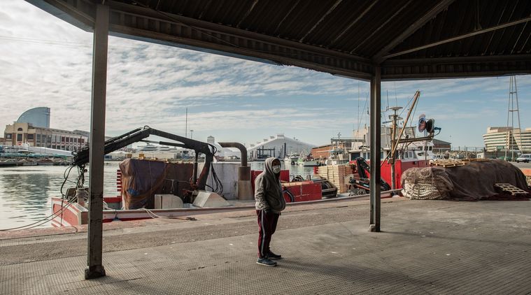 With Fishing Fleets Tied Up, Marine Life Has a Chance to Recover