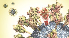 coronavirus china research study, covid-19 transmission research, covid-19 coronavirus research, coronavirus covid-19 research, indian express news