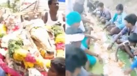 Corona, Coronavirus, COVID19, COVID_19, Corona Tamil Nadu, Bull Funeral, Corona Feast, Thanjavur, Madurai, Jallikattu, Indian Express News, Chennai news, Tamil Nadu news,