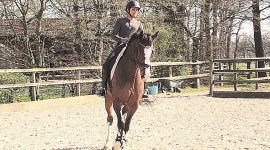 Fouaad Mirza, Fouaad Mirza equestrian, fouaad mirza olympics, fouaad mirza sports, fouaad mirza germany, sports news