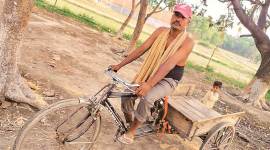 Delhi to Madhubani on a cart: ‘Would not have survived lockdown’
