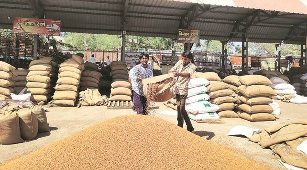 MahaFPC, farmers producers companies, Maharashtra non-banking financial company, Yogesh Thorat, Maharashtra farmers, Maharashtra government, india news, indian express