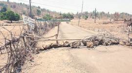 palghar lynching, palghar maharashtra, palghar killing arrests, maharashtra news, latest news