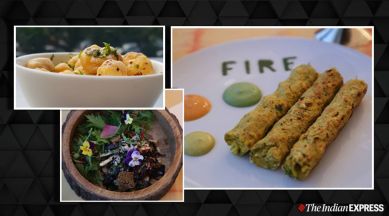 snacks, chaat, dilli chaat, makhana recipes, makhana recipes, quinoa recipes, Bhutte aur Khoye ki Seekh, indianexpress.com, indianexpress, seekh recipes, quarantine life, quarantine cooking,