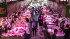 coronavirus, covid 19, china wet markets, nehru china meal, nehru china duck brain, nehru china meat, china wuhan news, indian express news