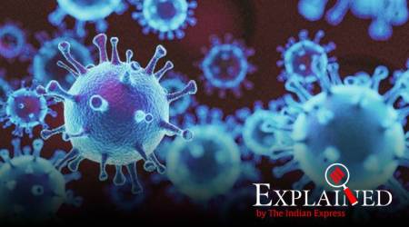 Explained | Peaks, testing, lockdowns: How Coronavirus vocabulary causes confusion