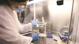 Coronavirus cases, random test, covid 19 deaths, Up news, indian express news