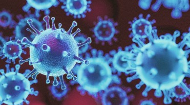 coronavirus, covid-19, pandemic, social distancing, Nishant Shah, covid 19