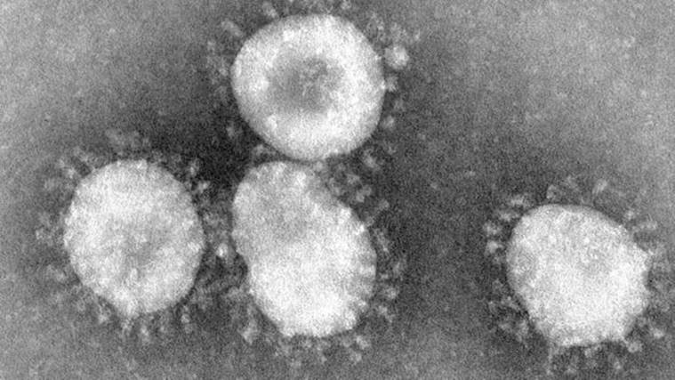 Explained: Who was June Almeida, the virologist who first saw the coronavirus?