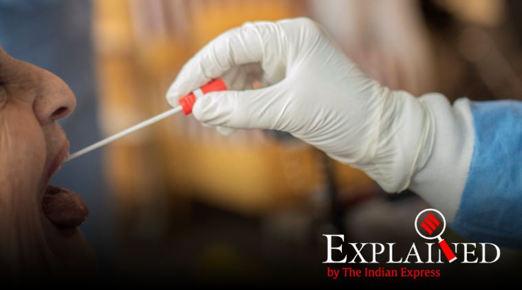 Coronavirus: How samples are collected, packaged and transported in India