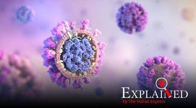 How virus behaves in household