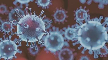 Coronavirus not 'manmade or genetically modified': US intelligence agencies