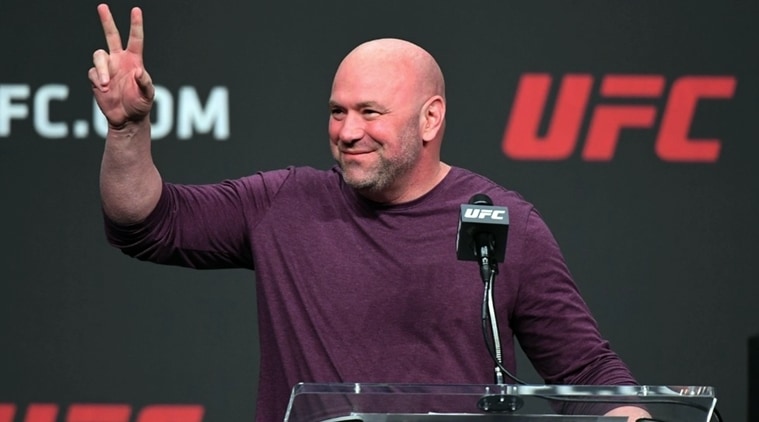 dana white