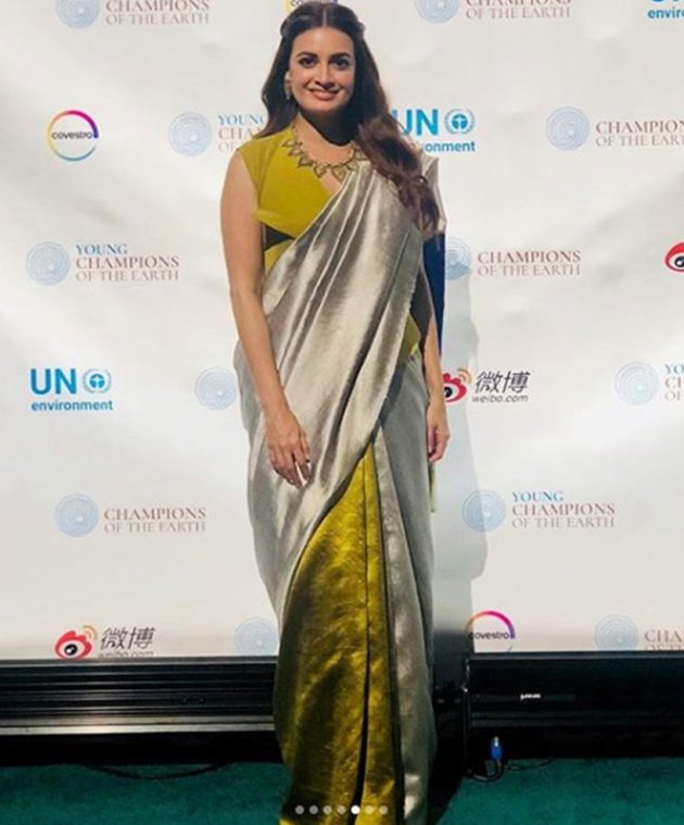 dia mirza, dia mirza instagram, dia mirza ethnic looks, dia mirza sari looks, dia mirza sari looks, indian express, indian express news
