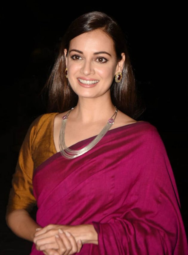 dia mirza, dia mirza instagram, dia mirza ethnic looks, dia mirza sari looks, dia mirza sari looks, indian express, indian express news