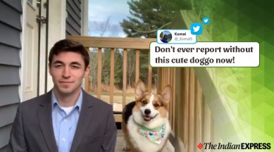VIDEO: A dog's reaction during a weather report has made it an internet sensation | Trending News,The Indian Express VIDEO: A dog's reaction during a weather report has made it an internet sensation | Trending News,The Indian Express