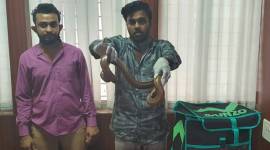 bengaluru lockdown, bengaluru police, bengaluru dunzo snake, bengaluru dunzo delivery boy sells snakes, bengaluru city news