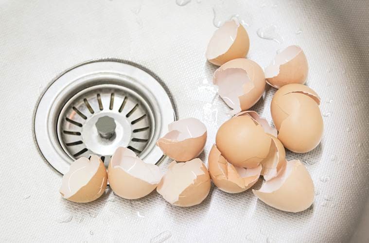 eggs, eggshells, uses of eggshells, eggshell hacks, life hacks using eggshells and eggs, indian express, indian express news