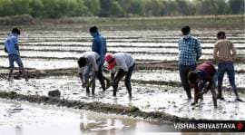 India lockdown, coronavirius cases, covid 19 infection, curfew, up news, indian express news