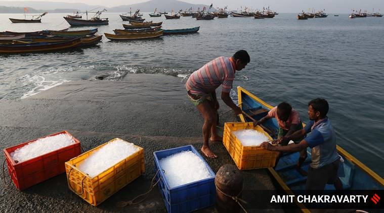 coronavirus, india coronavirus, india lockdown, coronavirus lockdown, maharashtra lockdown fishermen, maharashtra news