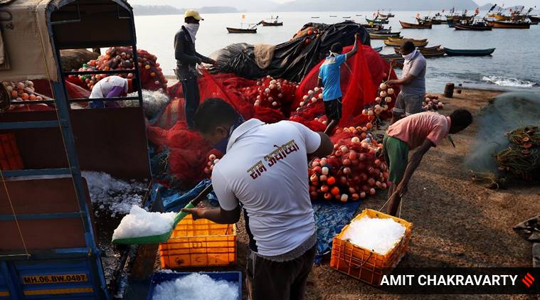 coronavirus, india coronavirus, india lockdown, coronavirus lockdown, maharashtra lockdown fishermen, maharashtra news