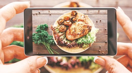 COVID-19, coronavirus, indianexpress, nishant shah column, food porn, inequality, porn, lockdown cooking, cooking, baking, quarantine cooking, rule 34,