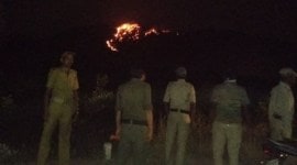 Susunia Hills, Susunia Hills forest fire, forest fires, bengal news, indian express