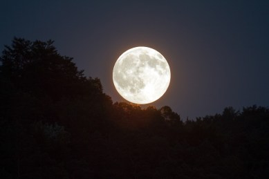 super pink moon, super moon, pink moon, moon, what is pink moon, where to watch super pink moon