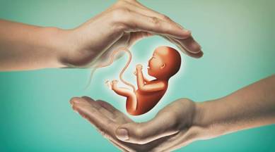 ivf, pregnancy