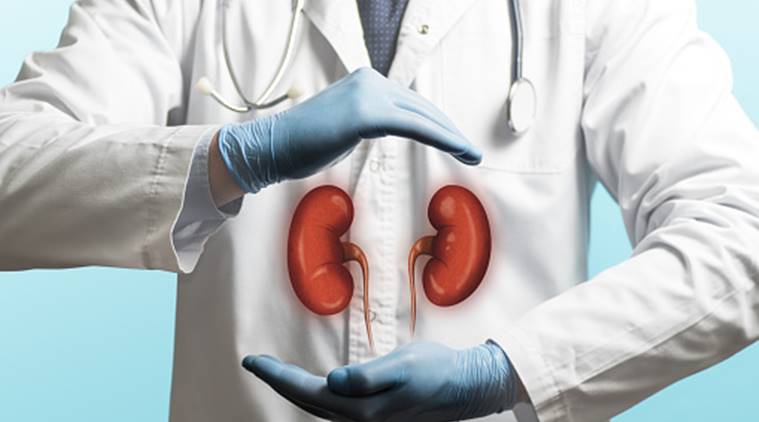 kidney, dialysis