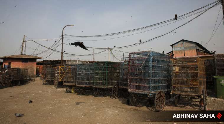 India coronavirus lockdown: Agriculture, MNREGA works exempted; masks now mandatory in public