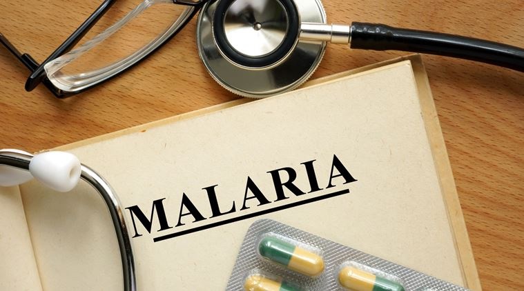 Some preventive measures for malaria you can follow by staying indoors