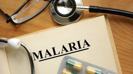 world malaria day, malaria, indianexpress.com, indianexpress, covid-19, coronavirus, pandemic, lockdown, malaria types, malaria treatment, malaria india,