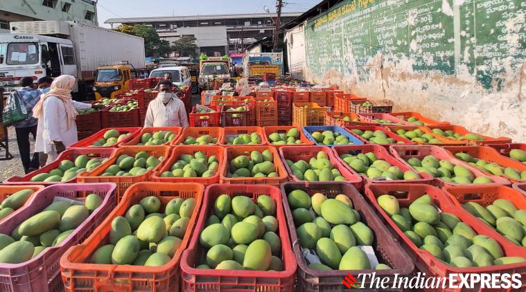 In Hyderabad, indicators that this year might be a sour story for mango lovers and sellers