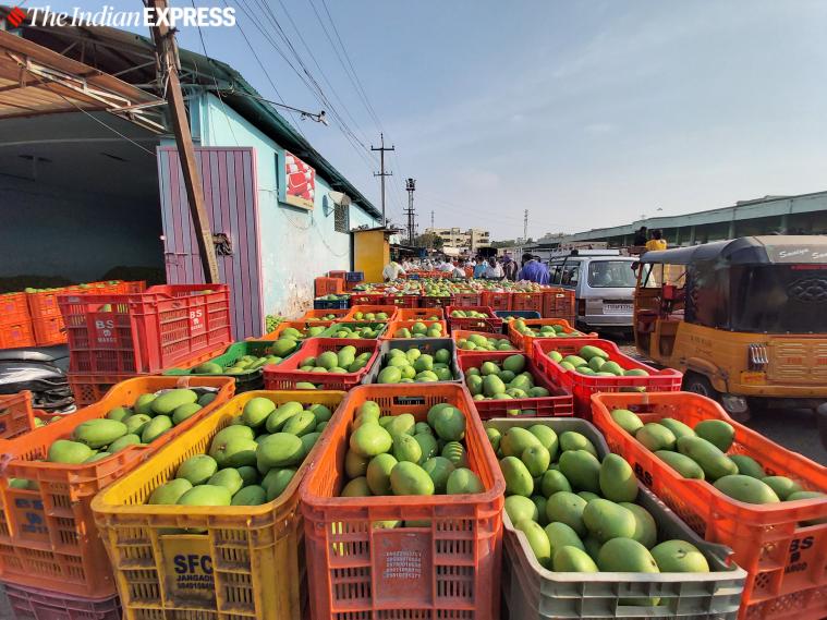 In Hyderabad, indicators that this year might be a sour story for mango