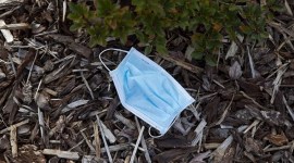 mask 75 coronavirus, coronavirus in chandigarh, chandigarh medical shops, sale of masks in chandigarh medical shops, indian express news