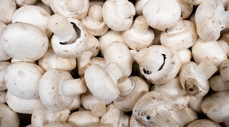 coronavirus, coronavirus outbrek, india lockdown, himachal pradesh mushrooms, himachal pradesh highly priced morel mushrooms, mushrooms, himachal pradesh mushroom sale, indian express news