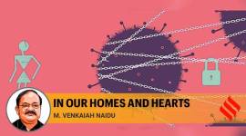 naidu feat no alt set