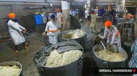 OVERWHELMING RESPONSE TO WHEAT DONATION DRIVE 85 major gurdwaras in Punjab now have wheat stocks for entire year