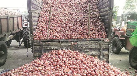 onion prices, onion price india, india onion trade ban, onion export ban, onion price india, india onion high price, indian express news