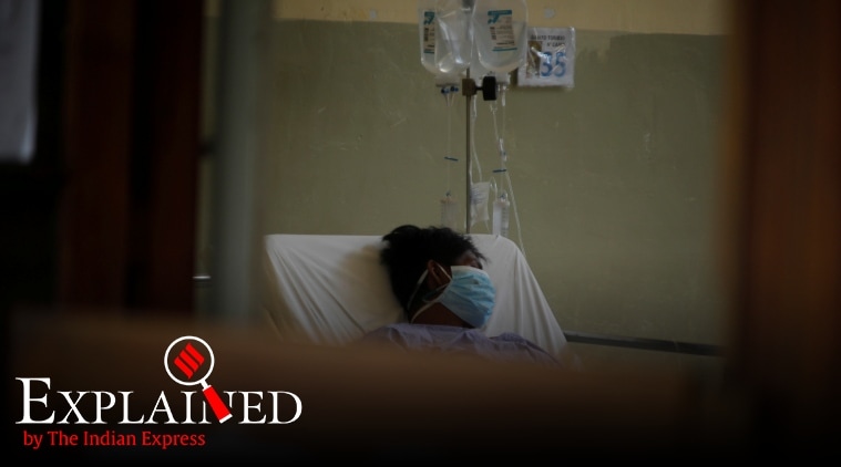 Explained: Are visitors allowed to meet critically ill COVID-19 patients?