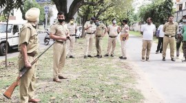 Chandigarh Administration, leopard sighting, Chandigarh news, indian express news