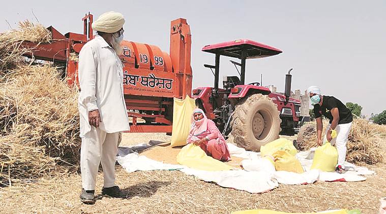 COVID-19, COVID-19 India, COVID-19 India Outbreak, COVID-19 Punjab, COVID-19 Punjab Outbreak, COVID-19 Punjab Lockdown, COVID-19 Punjab Cases, COVID-19 Punjab Deaths, Punjab Wheat Farmers, Punjab COVID-19 Wheat Farmers, Punjab Grain Markets, Punjab COVID-19 Grain Markets,