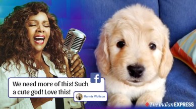The pets will thrive' is a lockdown anthem that combines a puppy with a  cult classic | Trending News,The Indian Express