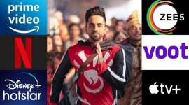 what to watch online