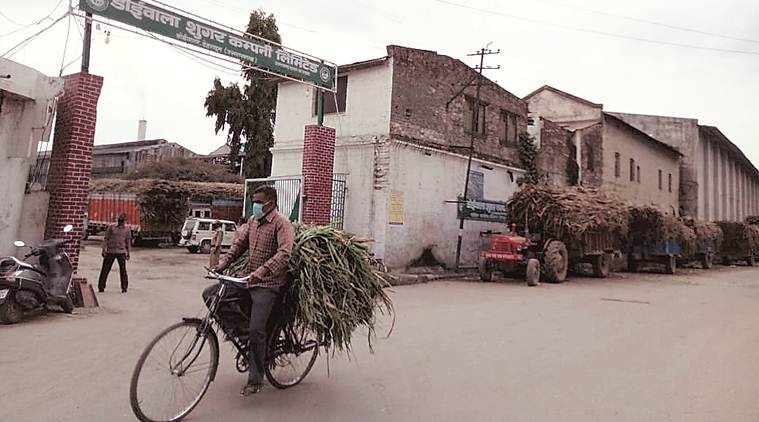 coronavirus india lockdown, coronavirus update, Uttarakhand farmers, Uttarakhand sugarcane farmers, corona, coronavirus update in india, coronavirus in india, coronavirus india, coronavirus cases in india, coronavirus latest news, 