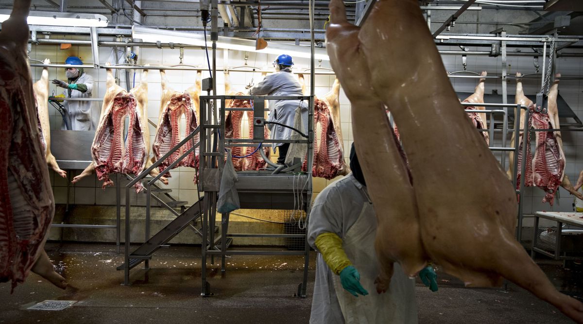 Hundreds of U.S. Meat Workers Have Now Tested Positive for Virus ...