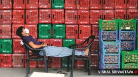 agricultural reforms coronavirus, Agriculture Produce Market Committee, Narendra Singh Tomar, farmers mandi free, Essential Commodities Act amendment