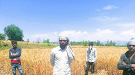 coronavirus, coronavirus outbreak, india lockdown, haryana lockdown, panckula village resident loan, daily wagers, panchkula villagers, indian express news